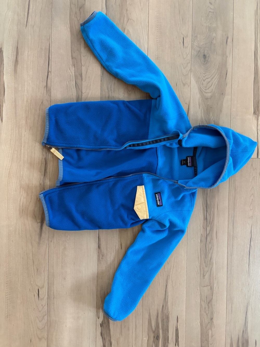 Patagonia Boys Micro D Hooded Fleece